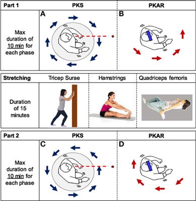 Frontiers | Curved Walking Rehabilitation with a Rotating Treadmill in ...