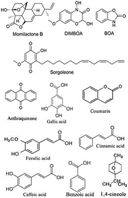 Frontiers | Corrigendum: Research Progress on the use of Plant ...