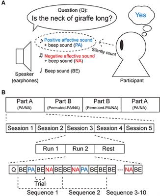 Frontiers Affective Stimuli For An Auditory P300 Brain Computer Interface Neuroscience