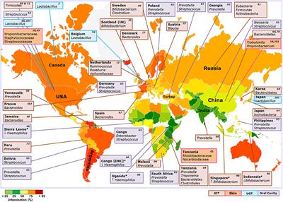 Frontiers  Rhodobacteraceae dominate the core microbiome of the