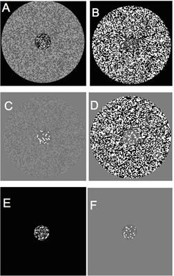 Frontiers | Surround-Masking Affects Visual Estimation Ability ...