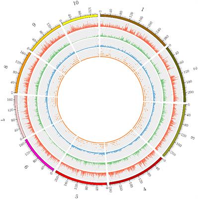 What Information Does A Linkage Map Provide Frontiers | High Density Linkage Map Construction And Mapping Of Yield  Trait Qtls In Maize (Zea Mays) Using The Genotyping-By-Sequencing (Gbs)  Technology | Plant Science