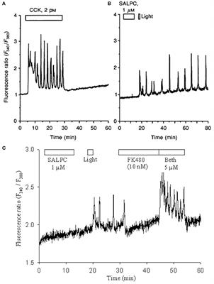 Frontiers | Photodynamic Physiology—Photonanomanipulations in Cellular ...