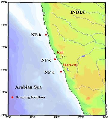 Frontiers | N2 Fixation in the Eastern Arabian Sea: Probable Role of ...