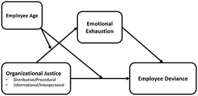 Frontiers Employee Age Alters The Effects Of Justice On Emotional Exhaustion And Organizational Deviance Psychology