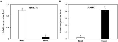 Hygrostat HR1-5 – Corroventa Déshumidification S.A.S