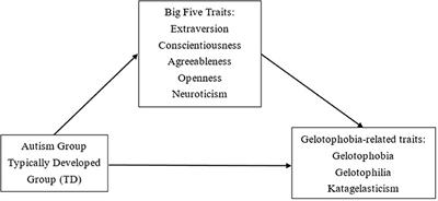 Frontiers | Extraversion Is a Mediator of Gelotophobia: A Study of ...