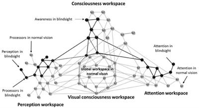 Frontiers From Cortical Blindness To Conscious Visual - 