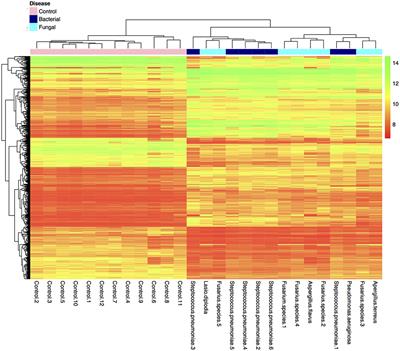 Frontiers | Persistence of Innate Immune Pathways in Late Stage Human ...