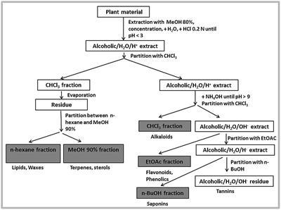 Frontiers | In Vitro and In Silico Antidiabetic and Antimicrobial ...