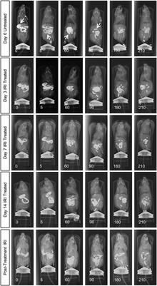 Frontiers | Irinotecan-Induced Gastrointestinal Dysfunction Is ...