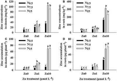 Frontiers | Absorption Kinetics and Subcellular Fractionation of Zinc ...