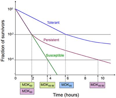 Frontiers | Antimicrobial Activity and Resistance: Influencing Factors