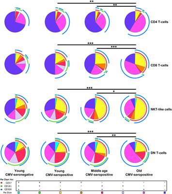 Frontiers | Differential Effect of Cytomegalovirus Infection with Age ...