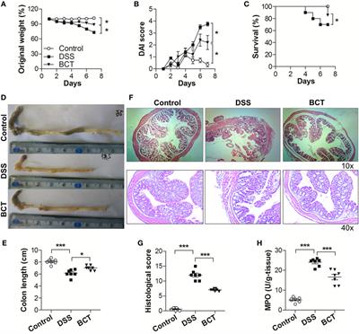 Frontiers | Upregulation of Intestinal Barrier Function in Mice with ...