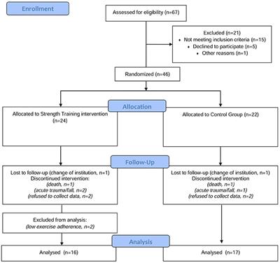 Frontiers | Strength Training Decreases Inflammation and Increases ...