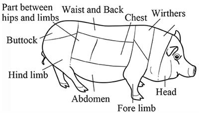 Frontiers | Skin Lesions in Swine with Decompression Sickness: Clinical ...