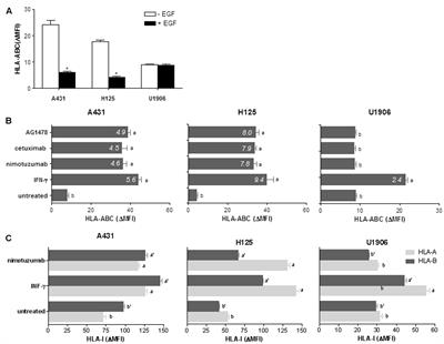 Frontiers Upregulation Of Hla Class I Expression On Tumor Cells By The Anti Egfr Antibody Nimotuzumab Pharmacology