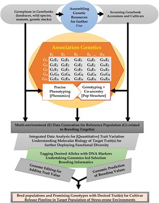 Frontiers  Characterization of fungal pathogens and germplasm