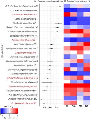 Frontiers Bacterial Synergism In Lignocellulose Biomass Degradation Complementary Roles Of Degraders As Influenced By Complexity Of The Carbon Source Microbiology