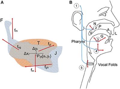 Frontiers | Parkinson Disease Detection from Speech Articulation ...