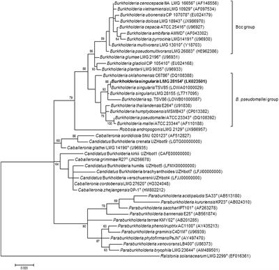 Frontiers  Burkholderia cepacia infection in children without