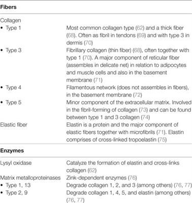 Frontiers  Etiology of Inguinal Hernias: A Comprehensive Review