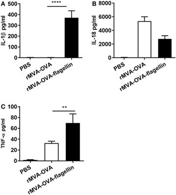 Frontiers | NLRC4 Inflammasome-Driven Immunogenicity of a Recombinant ...