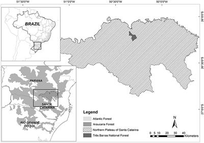 Frontiers Domesticated Landscapes In Araucaria Forests - 