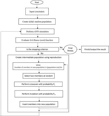 Frontiers | Mathematical Modeling and Optimizing of in Vitro Hormonal ...