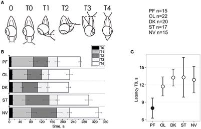 Frontiers | Adaptive Changes In The Vestibular System Of Land.