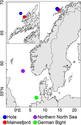 Frontiers Food Web Structure In Four Locations Along The European Shelf Indicates Spatial Differences In Ecosystem Functioning Marine Science