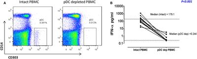 Frontiers | Critical Role of Plasmacytoid Dendritic Cells in Regulating ...