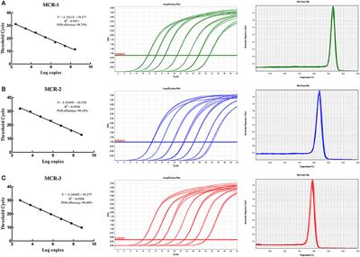 Frontiers | A Multiplex SYBR Green Real-Time PCR Assay for the ...