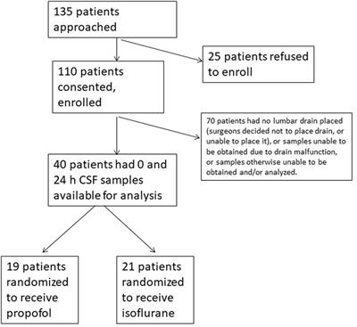 Frontiers | The Effect of Propofol vs. Isoflurane Anesthesia on ...