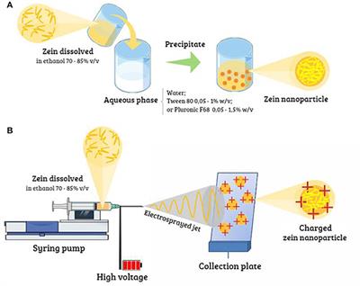 Frontiers | Zein Nanoparticles and Strategies to Improve Colloidal ...