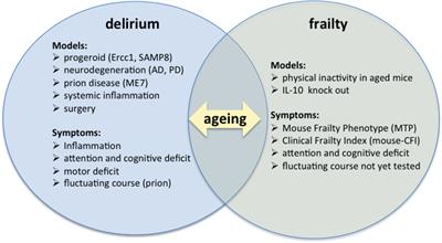 Frontiers | Is Delirium the Cognitive Harbinger of Frailty in Older ...