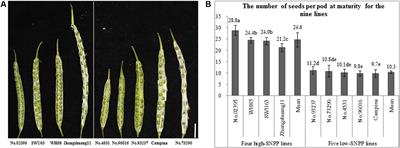 Frontiers | Genetic and Cytological Analyses of the Natural Variation ...