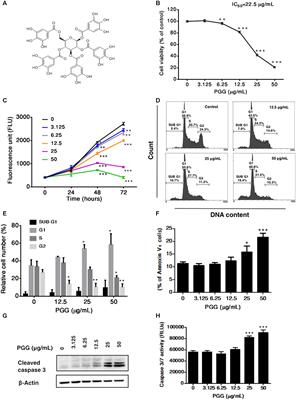 Frontiers 1 2 3 4 6 Penta O Galloyl Beta D Glucopyranoside Inhibits Proliferation Of Multiple Myeloma Cells Accompanied With Suppression Of Myc Expression Pharmacology