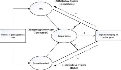 Frontiers | A Tripartite Neurocognitive Model of Internet Gaming Disorder