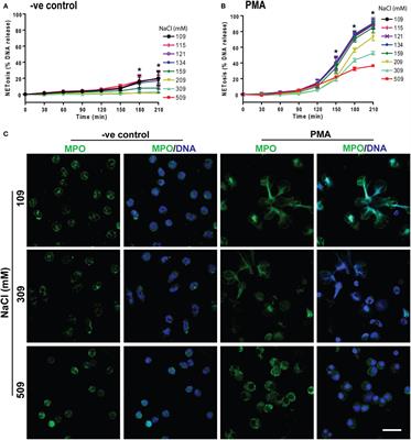 Frontiers | Hypertonic Saline Suppresses NADPH Oxidase-Dependent ...