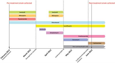 Frontiers | Comparative Genomic Analysis of Two Clonally Related ...