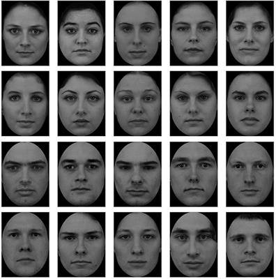 Frontiers | Self-face Captures, Holds, and Biases Attention | Psychology