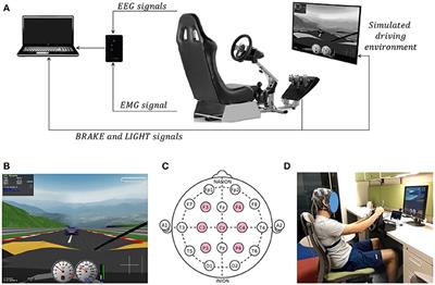 Frontiers Eeg Based Detection Of Braking Intention Under - 