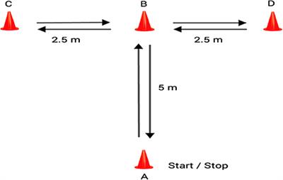 Frontiers | Specific Changes in Young Soccer Player's Fitness After ...