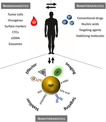 Frontiers  Nanoparticles—Emerging Potential for Managing Leukemia and  Lymphoma