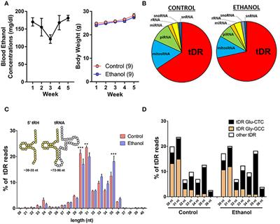 Frontiers Heavy Chronic Intermittent Ethanol Exposure Alters Small Noncoding Rnas In Mouse Sperm And Epididymosomes Genetics