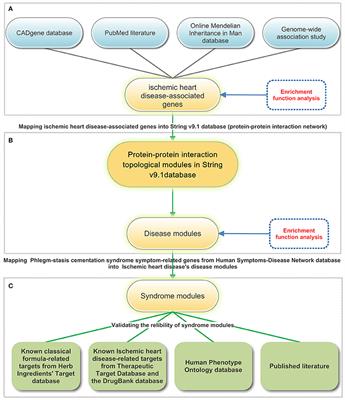 Frontiers | Integrated Modules Analysis to Explore the Molecular ...