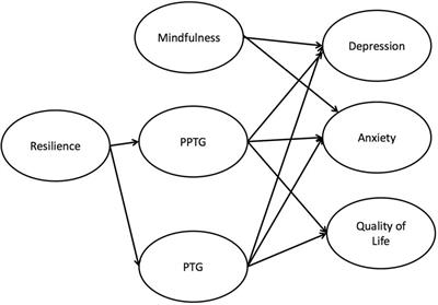 Frontiers | A Model to Predict Psychological- and Health-Related ...