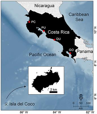 Frontiers  Chondrichthyan Diversity, Conservation Status, and Management Challenges in Costa Rica